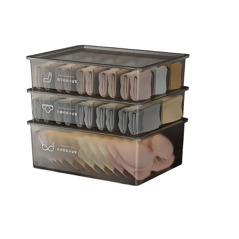 Underwear Storage Box (3pcs/set)