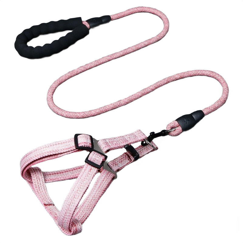1.0cm Adjustable Leash, D...