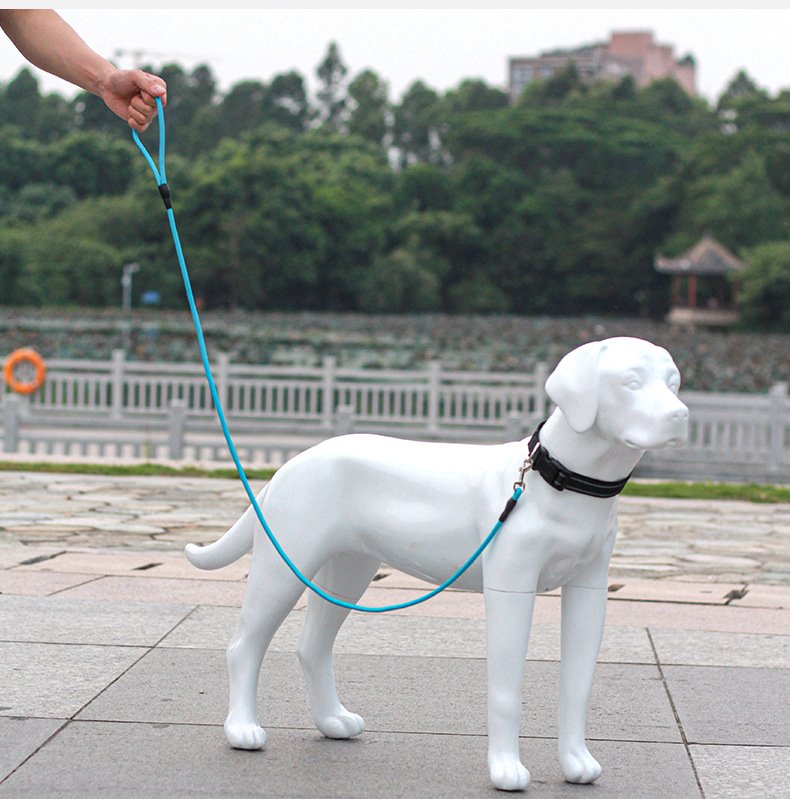 120cm Pet Rope (Light Blu...