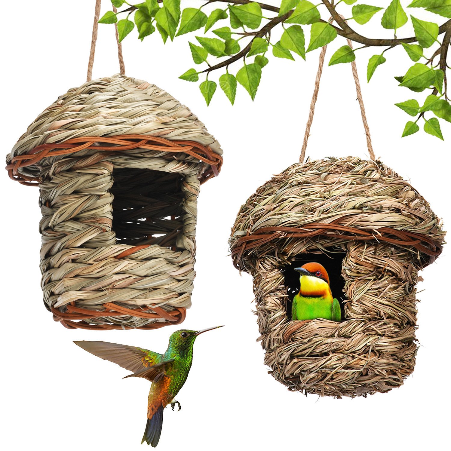 Bird House