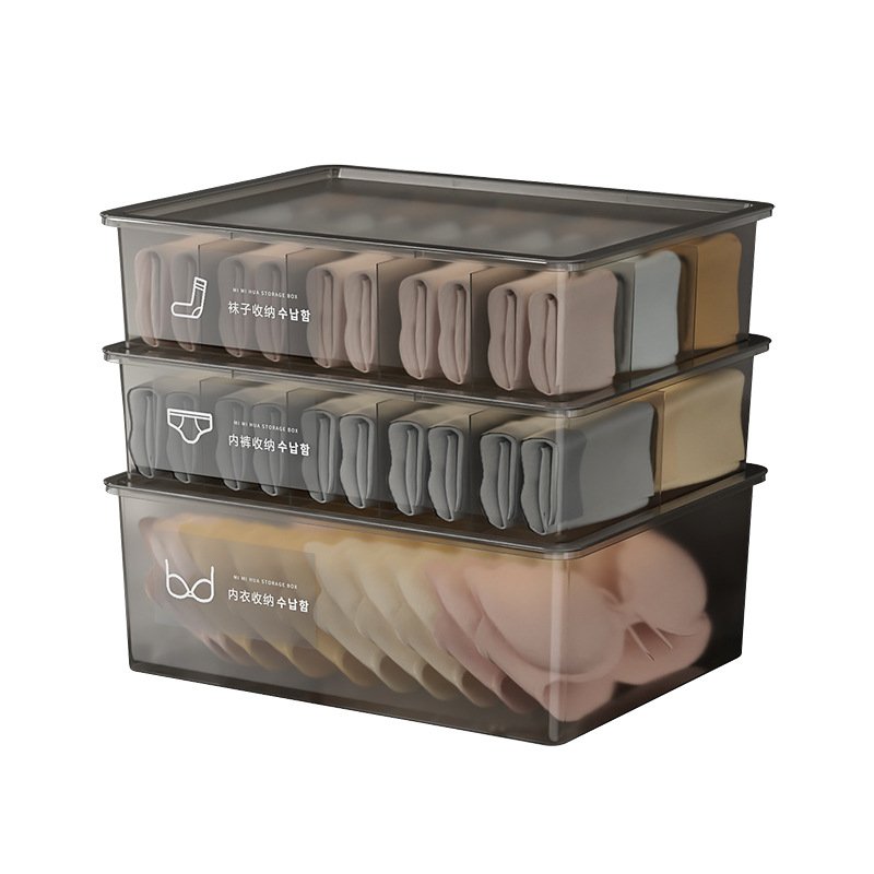 Underwear Storage Box (3pcs/set)