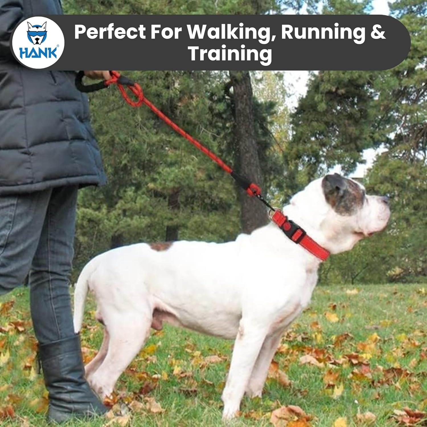 1.2m Pet Dog Leash (Green... 1.2m Pet Dog Leash (Green...