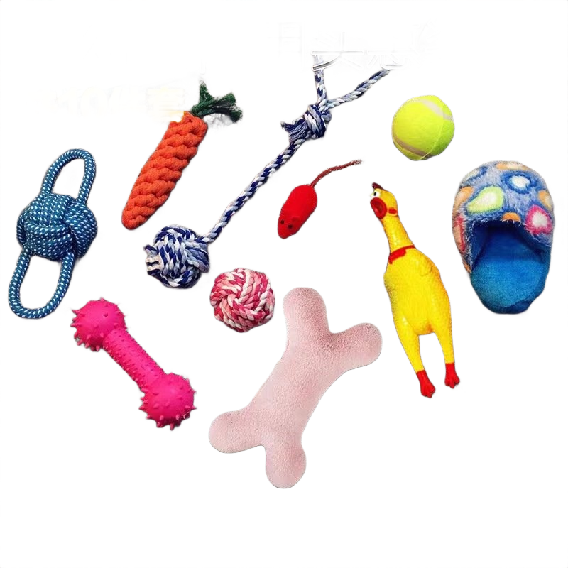 10ps Pet Toy Dog Set-rand...